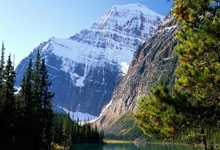 上海五星体育今天节目表有哪些精彩内容？